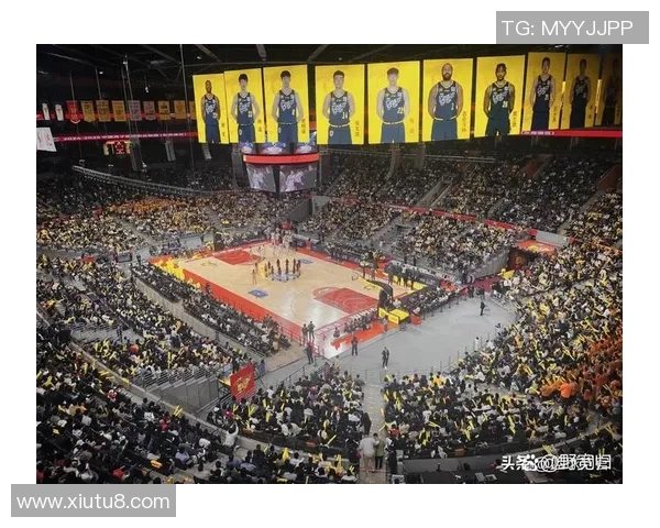 广东CBA球队主场位置及观众体验评估