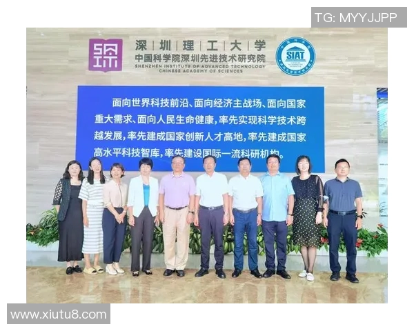 深圳飞盘队的阵地战策略与发展现状全面解析