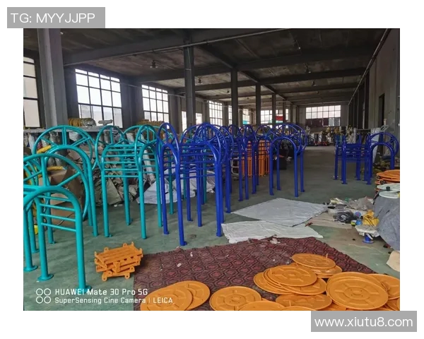 户外健身器材国内市场分析与发展前景