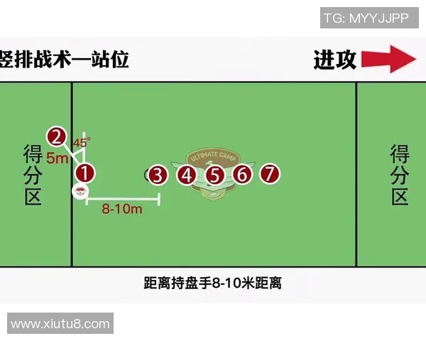 南京飞盘队快攻战术分析与得失总结探讨
